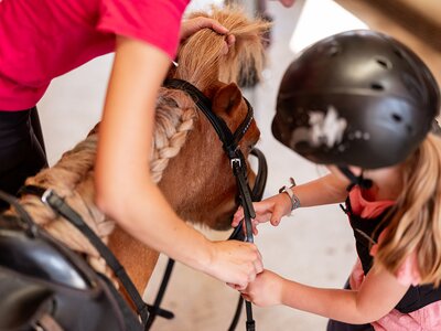 Kind mit Helm und Erwachsener befestigen Zaumzeug an braunem Pony mit geflochtener Mähne