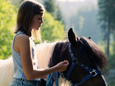 Mädchen im Profil mit Pferd im Wald bei Sonnenlicht