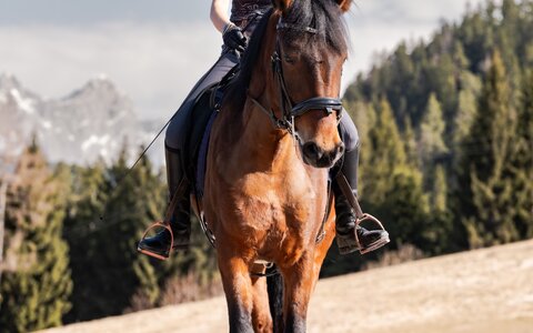 Reiterin auf braunem Pferd vor bewaldeten Bergen und klarem Himmel