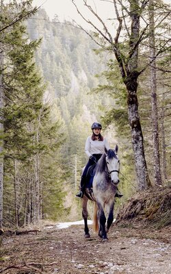 Frau reitet auf einem Pferd auf einem Waldweg mit Bäumen und Bergen im Hintergrund